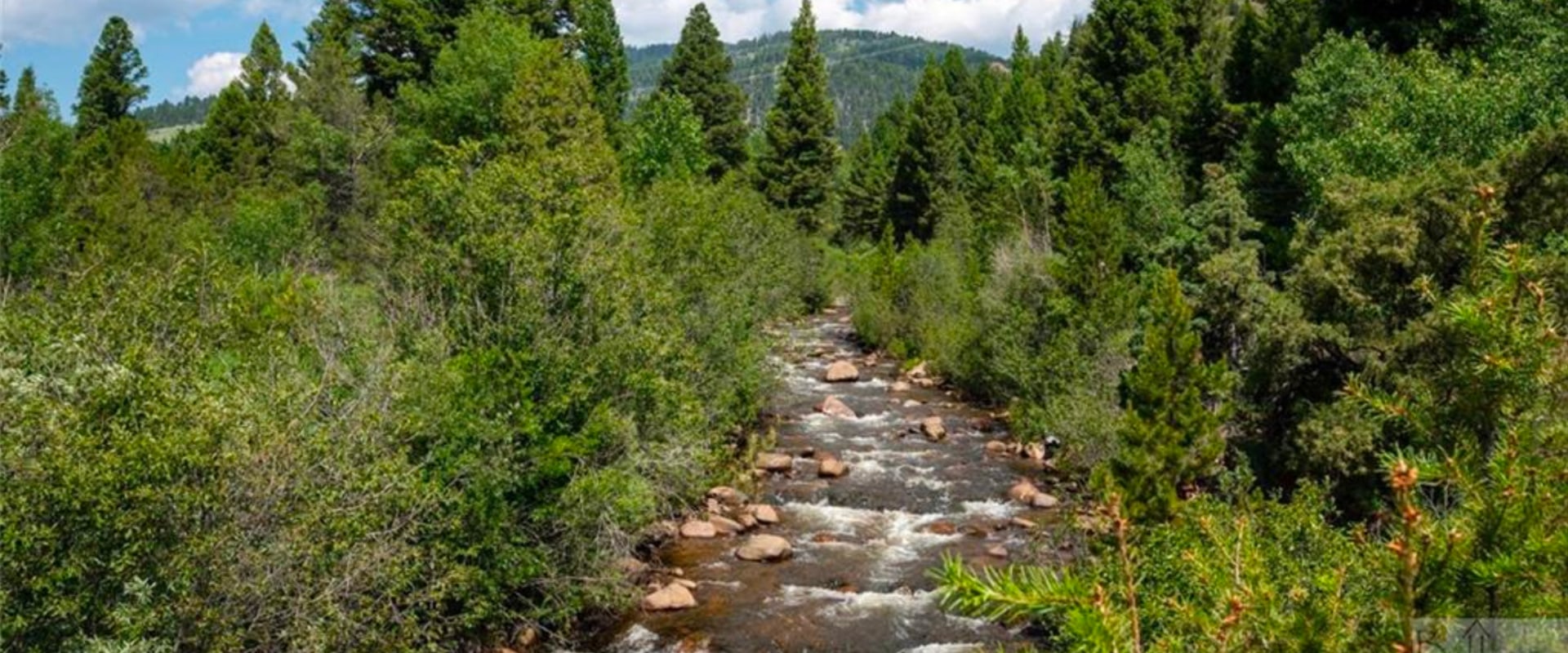 The Ultimate Guide to River Ranch Movers: Expert Tips and Insights