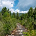 The Ultimate Guide to River Ranch Movers: Expert Tips and Insights