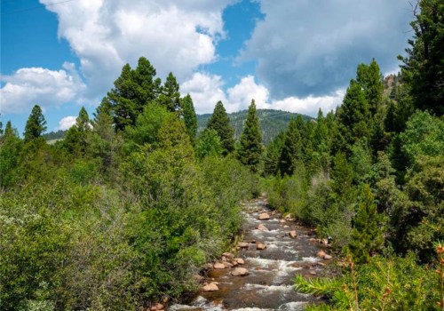 The Ultimate Guide to River Ranch Movers: Expert Tips and Insights